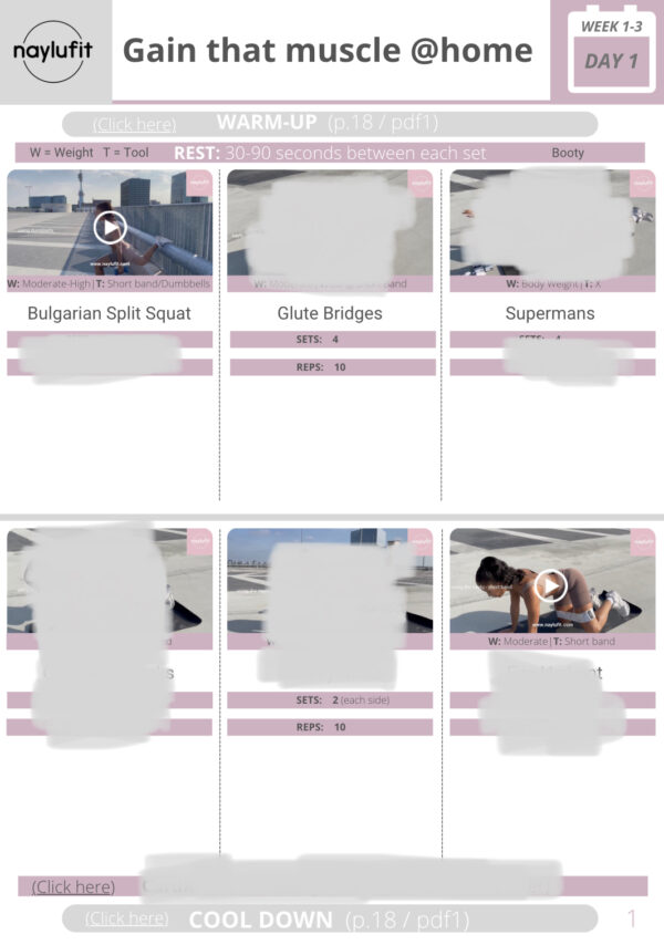 Gain That Muscle @Home 12 week home workout program - Image 4